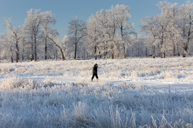 Winterlandschaft schneebedeckte natur new year39s forest