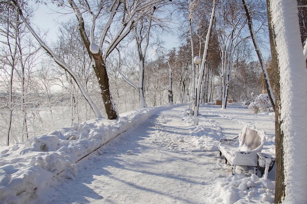 Winterlandschaft Schneebedeckte Parkgasse