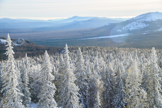 Winterlandschaft. Schneewald in den Bergen