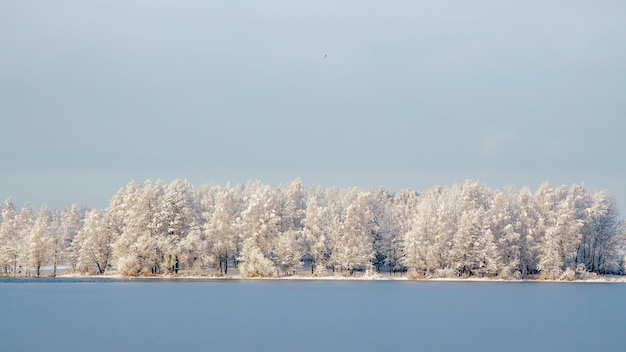Winterlandschaft Verschneite Bäume am Ufer