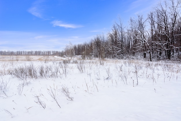 Winterlandschaft. Verschneites Feld, Bäume und schöner blauer Himmel. Winterpanorama.