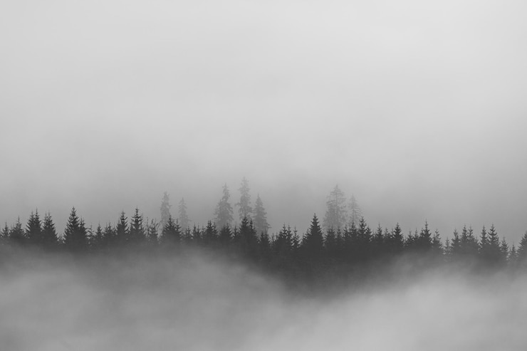 Foto winterlandschaft vom rodnei-gebirge ein kalter, nebliger morgen mit starkem schnee
