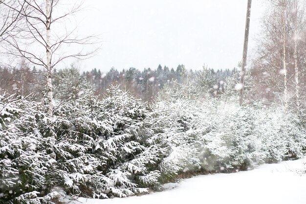 Winterlandschaft von Feldern und Straßen im Schnee