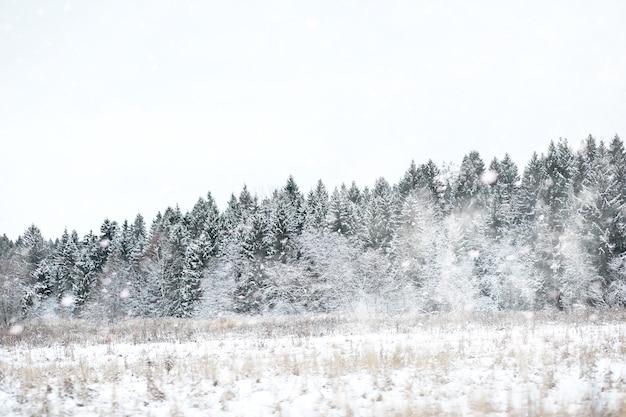 Winterlandschaft von Feldern und Straßen im Schnee