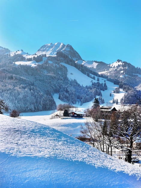 Winterlandschaft von Gruyères, der berühmten Landwirtschafts- und Gruyere-Käseregion. Provinz Freiburg in der Schweiz