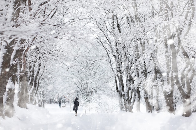 Winterlandschaft. Wald unter dem Schnee. Winter im Park.