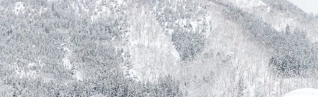 Winterlandschaft Wald