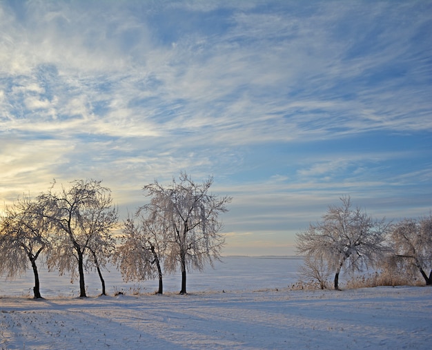 Winterlandschaft