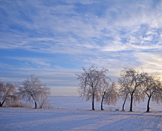 Winterlandschaft