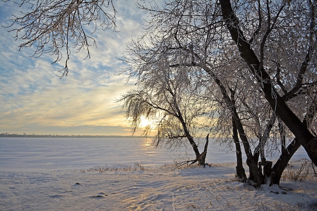 Winterlandschaft