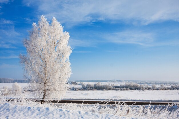 Winterlandschaft