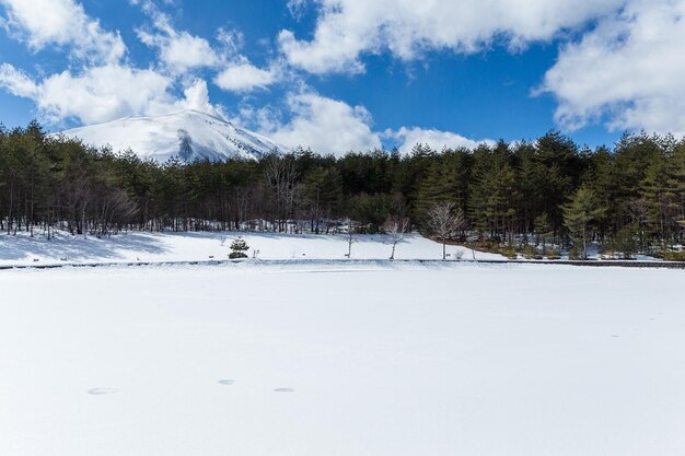 Winterlandschaft