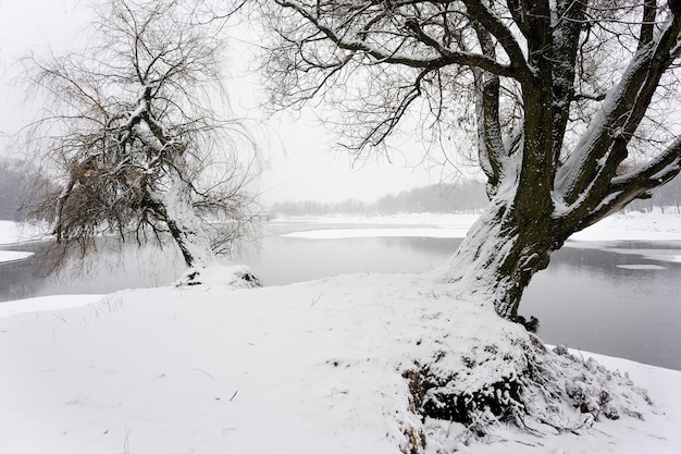 Winterlandschaft