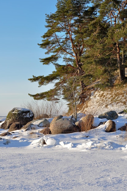 Winterlandschaft