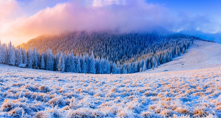 Foto winterlandschaftsbäume im frost