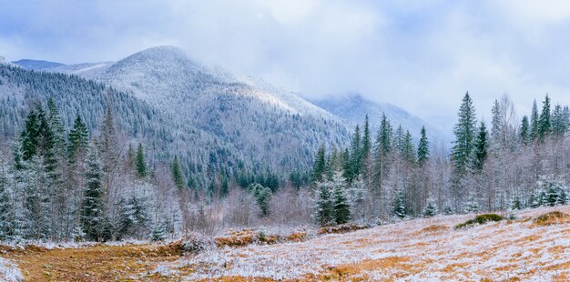 Winterlandschaftsbäume im Frost