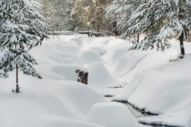 Winterlandschaftsfluss im Schnee, um den Wald.