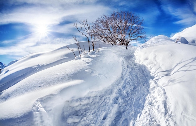 Winterliche Berglandschaft