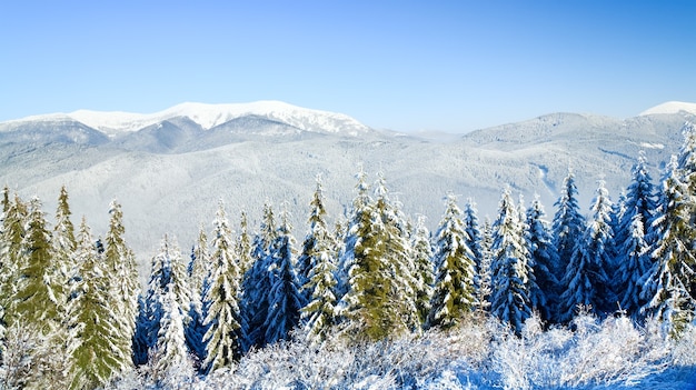 Winterliche ruhige Berglandschaft (Blick vom Skigebiet Bukovel (Ukraine) auf den Svydovets-Grat)