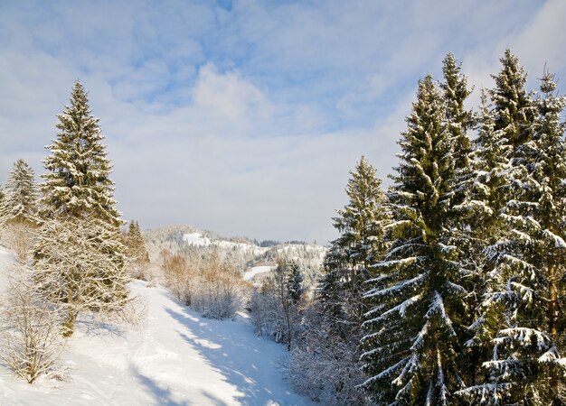 Winterliche ruhige Berglandschaft mit Raureif und schneebedeckten Fichten