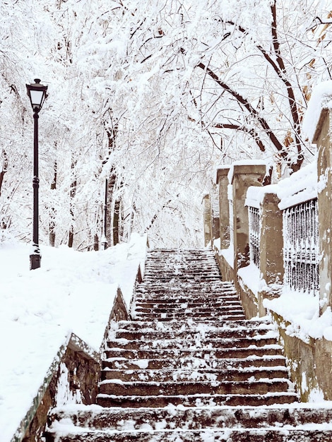 Winterlicher Stadtpark