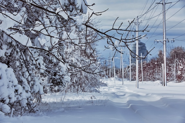 Wintermärchen, die Schneesturmnaturschönheit behandeln