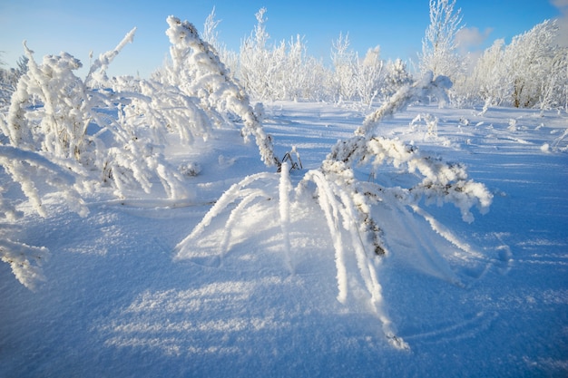 Wintermärchenlandschaft.