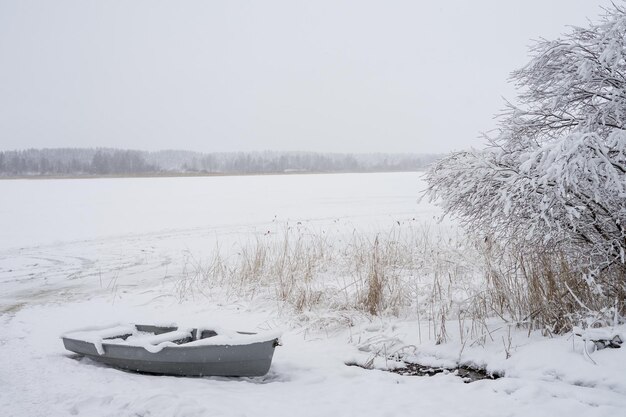 Wintermorgen im russischen Wald