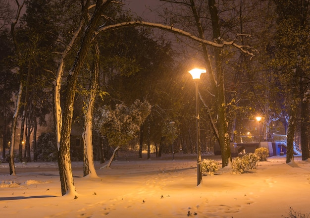 Winternachtlandschaftsbank unter Bäumen und leuchtende Straßenlaternen, die Schneeflocken fallen