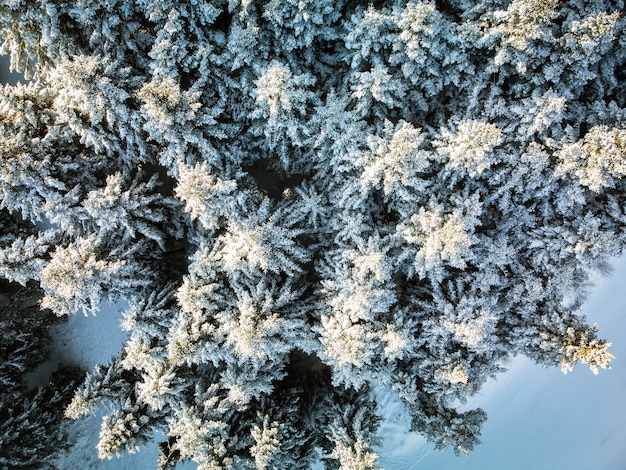 Winterpanoramablick auf das Skizentrum Vysne Ruzbachy im Norden der Slowakei