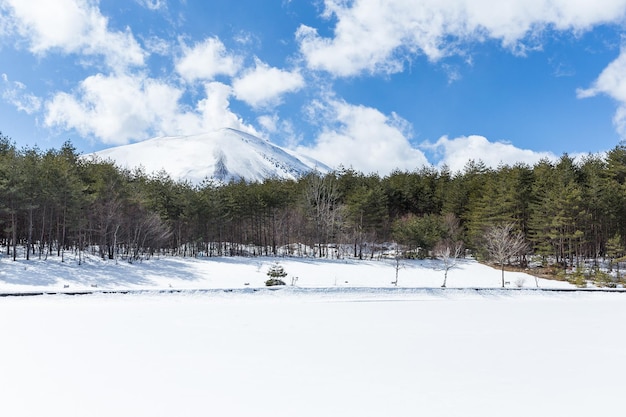 Winterpark im Schnee