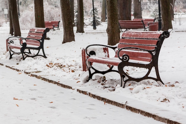 Winterpark mit Schnee und Raureif bedeckt