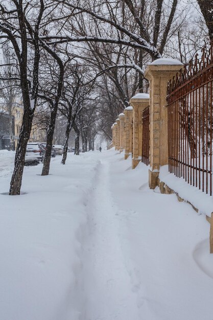 Winterpark mit weißem Schnee bedeckt