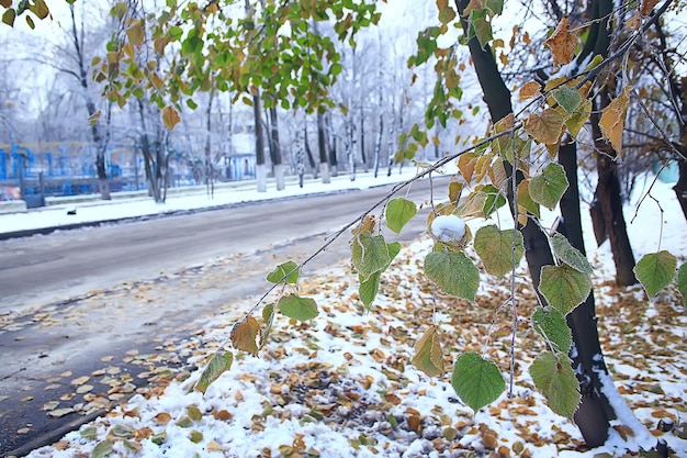 Winterpark, Stadtbild bei Winterwetter / Landschaftsschnee, Stadt, Bäume in einem Stadtpark im Norden