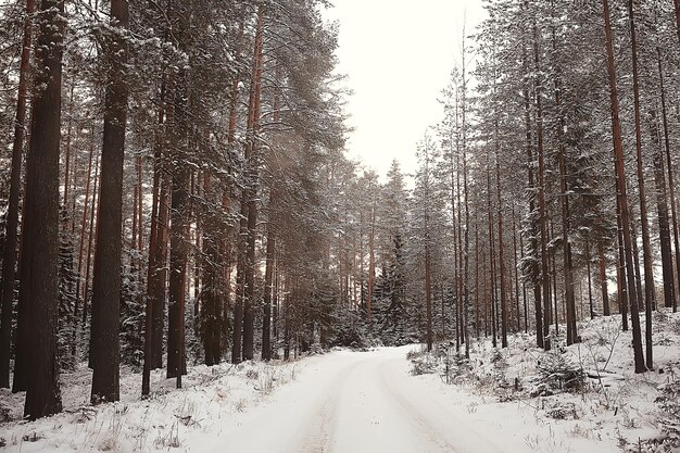 Winterpark, Stadtbild bei Winterwetter / Landschaftsschnee, Stadt, Bäume in einem Stadtpark im Norden