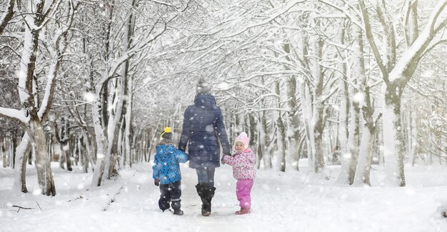 Winterpark unter dem Schnee. Schneesturm im Stadtpark. Park für Spaziergänge mit der ganzen Familie unter der Schneedecke.