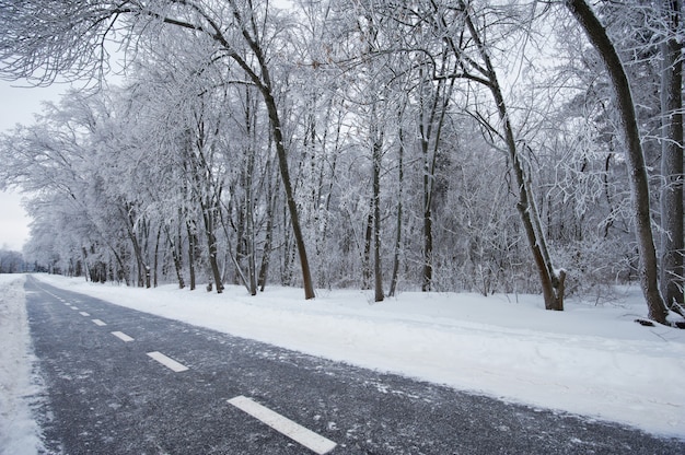 Winterradweg