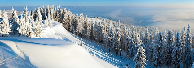 Winterreif und schneebedeckter Hügel mit Tannen und Schneeverwehungen (Karpaten, Ukraine). Stichbild mit drei Schüssen.