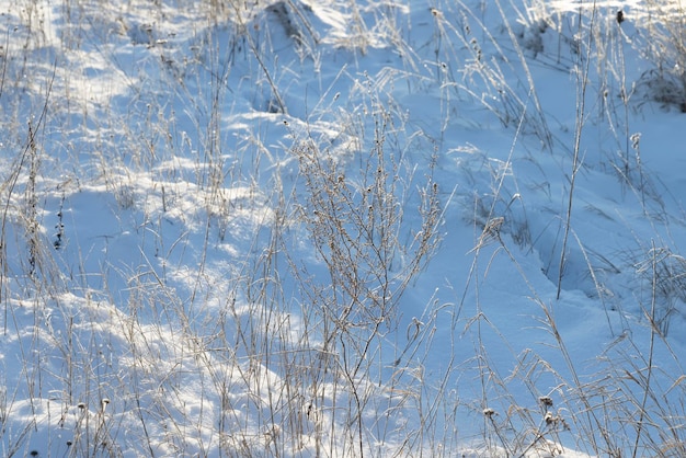 Wintersaison mit Schneeverwehungen nach Schneefall frischer und sauberer Schnee in der Natur in der Wintersaison