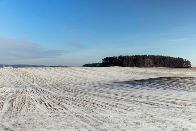 Wintersaison mit Schneeverwehungen nach Schneefall frischer und sauberer Schnee in der Natur in der Wintersaison