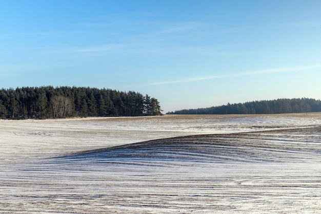 Wintersaison mit Schneeverwehungen nach Schneefall frischer und sauberer Schnee in der Natur in der Wintersaison