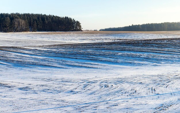 Wintersaison mit Schneeverwehungen nach Schneefall frischer und sauberer Schnee in der Natur in der Wintersaison