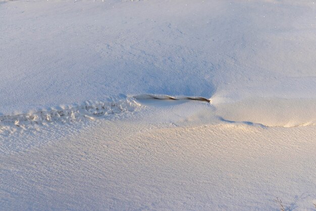 Wintersaison mit Schneeverwehungen nach Schneefall frischer und sauberer Schnee in der Natur in der Wintersaison