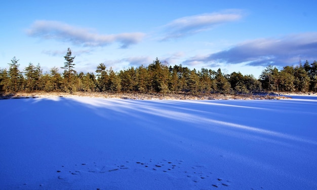 Wintersaison Winterlandschaft Winter