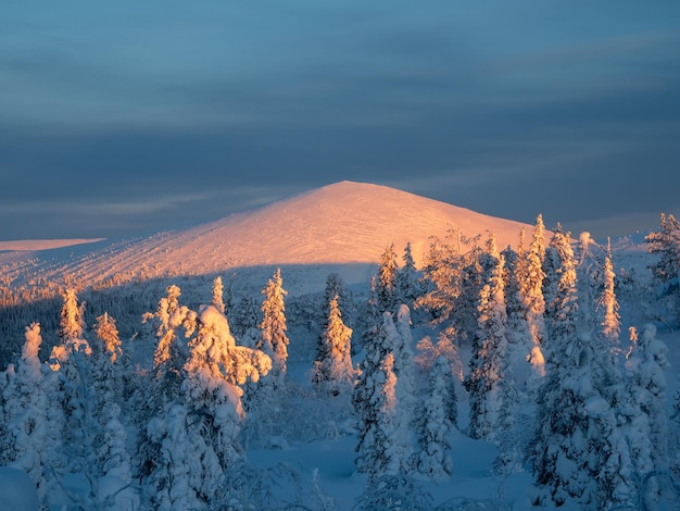 Winterschneebedeckter Wald in einer farbenfrohen Morgendämmerung eine natürliche Postkarte des Winters