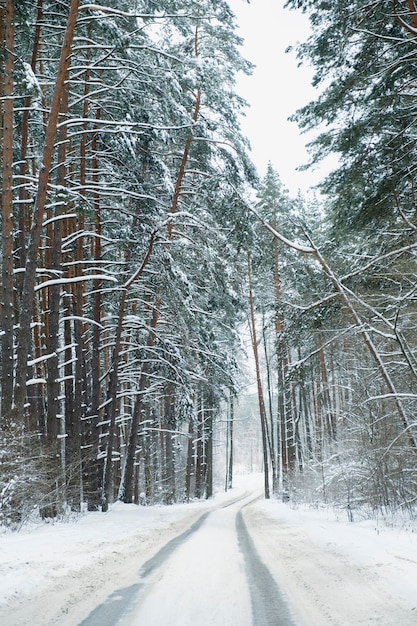 Winterschneefall auf der Straße