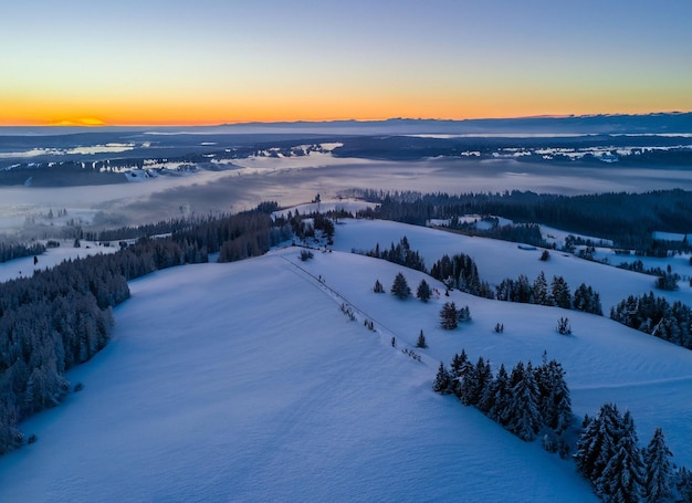 Winterschneeland mit bewölktem Himmel der Kiefern