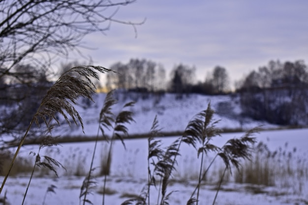 Foto wintersee bei sonnenuntergang