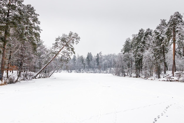 Wintersee mit Eis und Schnee bedeckt