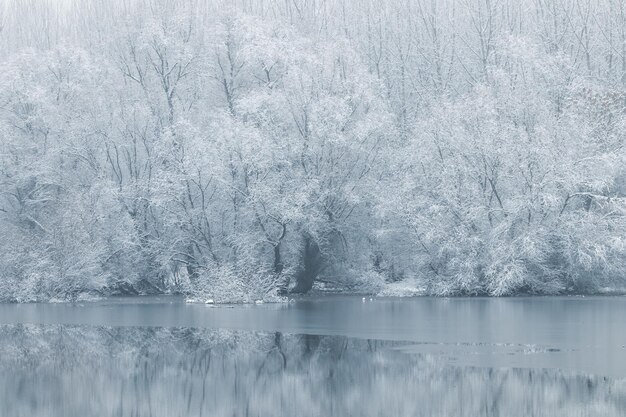 Winterseeszene reflektiert